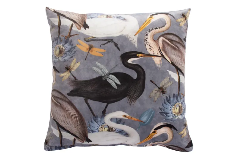 Tyyny Holly Linnut, undefined