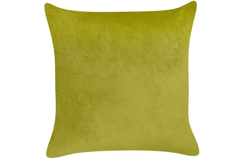 Koristetyynyt Yuzuri sarja 2 Vaaleanvihreä/kulta - Vaaleanvihreä/kulta - Kodintekstiilit & matot - Tyyny & torkkupeitto - Koristetyynyt