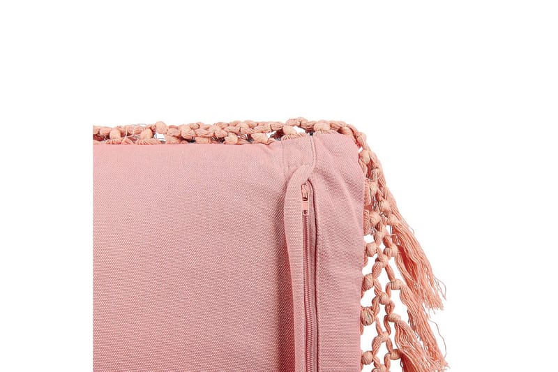 Koristetyynyt Parrotia - Kodintekstiilit & matot - Tyyny & torkkupeitto - Ulkotyyny