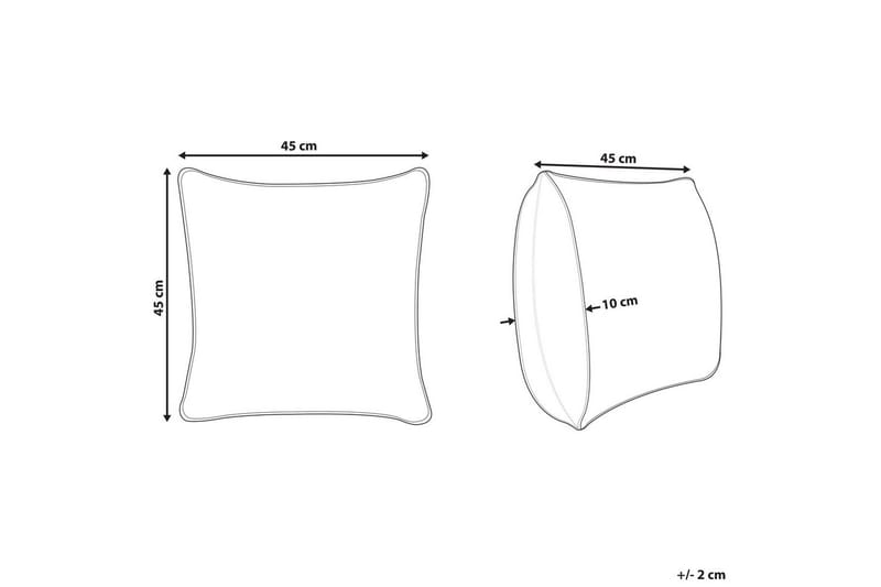 Koristetyynyt Protea - Kodintekstiilit & matot - Tyyny & torkkupeitto - Koristetyynyt