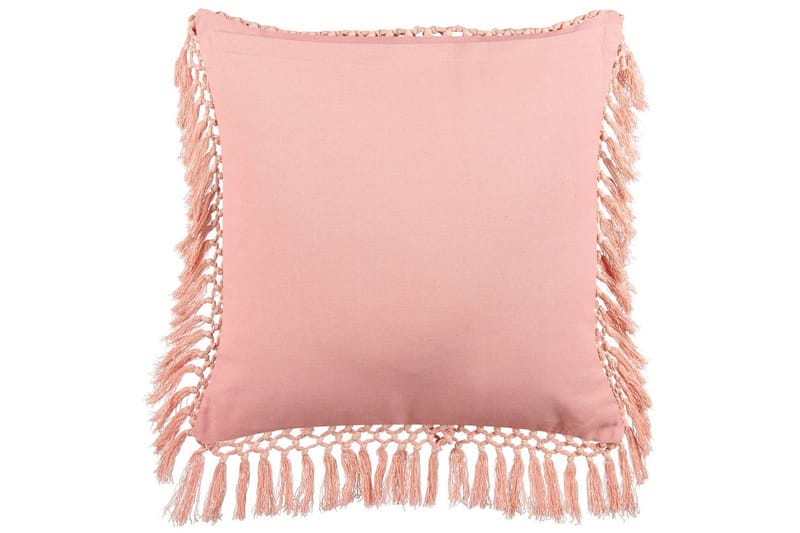 Koristetyynyt Parrotia - Kodintekstiilit & matot - Tyyny & torkkupeitto - Ulkotyyny