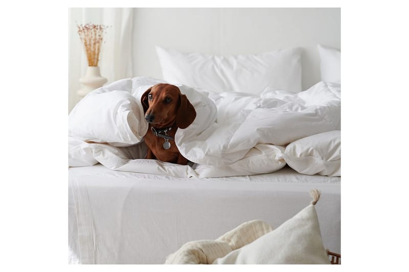 Peitto Hotellipeitto 150 x 200 cm - Lämmin - Kodintekstiilit & matot - Vuodevaatteet - Peitto
 - Tuplapeitto