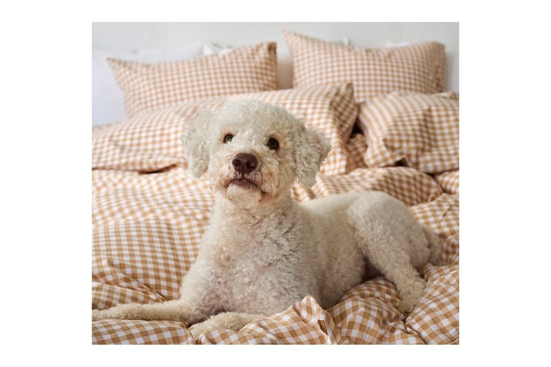 Pussilakanasetti yhden hengen sänkyyn 2-osainen Märta Ruutu - Keltainen - Kodintekstiilit & matot - Vuodevaatteet - Pussilakanasetti - Pussilakanasetti yhden hengen sänkyyn