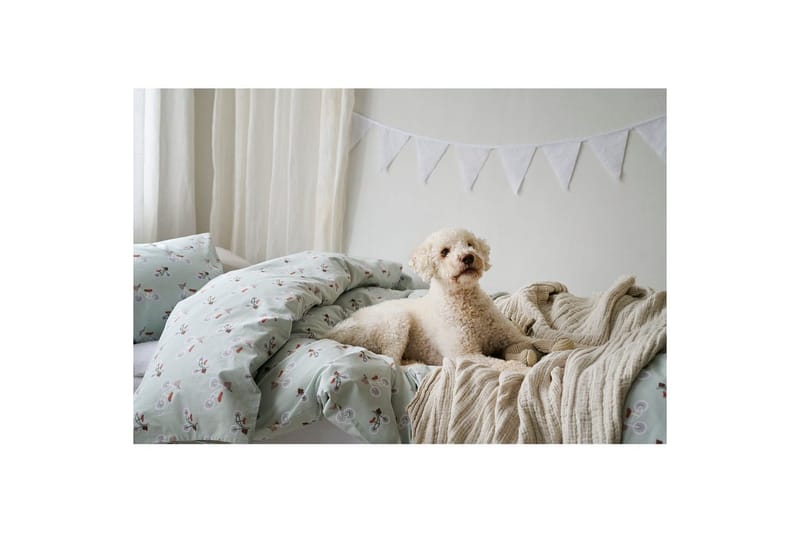 Pussilakanasetti Yhden hengen sänkyyn 2-osainen Plingeling Vihreä - Vihreä - Kodintekstiilit & matot - Vuodevaatteet - Peitto
 - Tuplapeitto