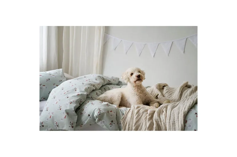 Pussilakanasetti Yhden hengen sänkyyn 2-osainen Plingeling Vihreä - Vihreä - Kodintekstiilit & matot - Vuodevaatteet - Pussilakanasetti - Pussilakanasetti yhden hengen sänkyyn