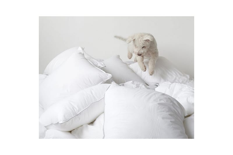 Peitto Hotellipeitto 150 x 200 cm - Standardi - Kodintekstiilit & matot - Vuodevaatteet - Peitto
 - Tuplapeitto