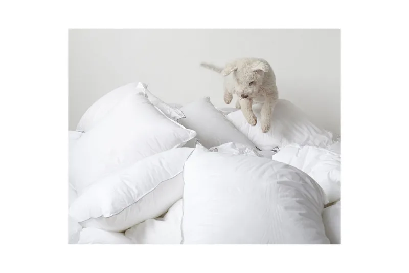 Peitto Hotellipeitto 220 x 210 cm - Franzén - Kodintekstiilit & matot - Vuodevaatteet - Peitto - Tuplapeitto