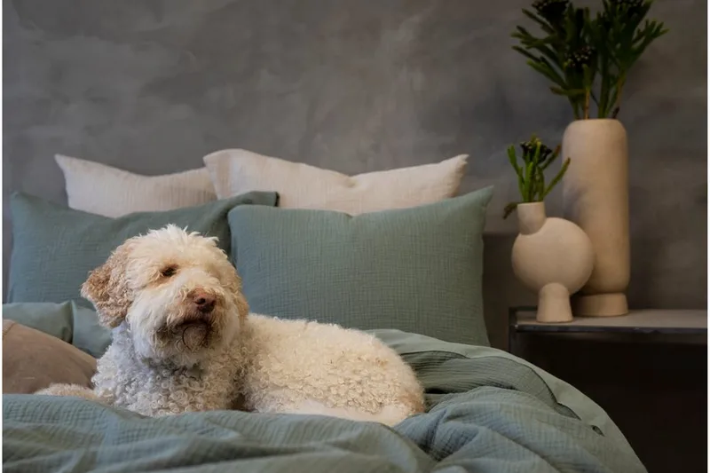 Pussilakanasetti Parisänky Kolmiosainen Rolling - Vihreä - Kodintekstiilit & matot - Vuodevaatteet - Pussilakanasetti
 - Pussilakanasetti yhden hengen sänkyyn