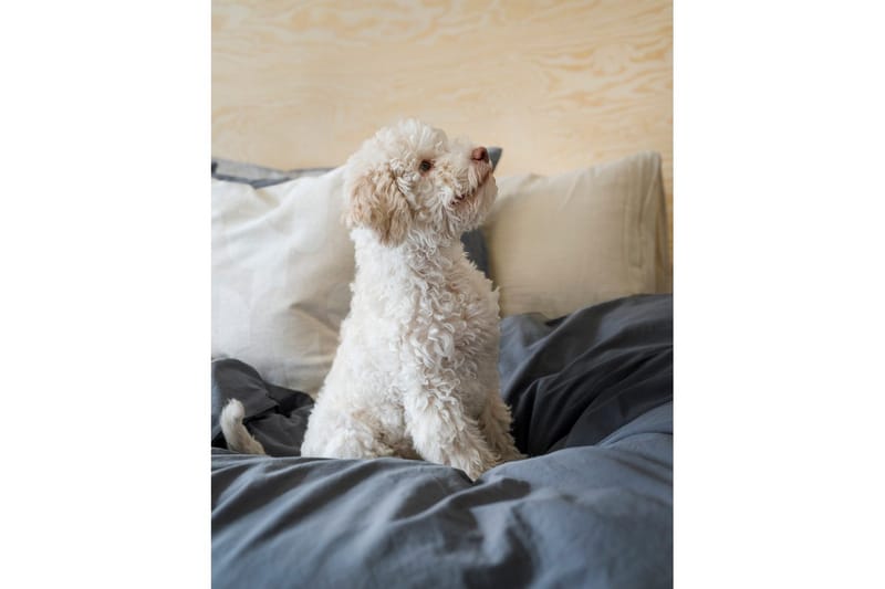 Pussilakanasetti Parisänky Kolmiosainen Percale - Sininen - Kodintekstiilit & matot - Vuodevaatteet - Pussilakanasetti
 - Pussilakanasetti yhden hengen sänkyyn