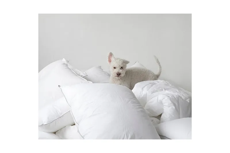 Tyyny Hotellityyny - 50 x 70 cm - Kodintekstiilit & matot - Vuodevaatteet - Tyyny - Hotellityyny & pitkänmallinen tyyny