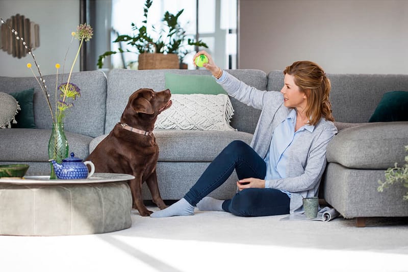 Matonpesulaite Bissell Revolution 2x ProHeat - Kotitalous - Siivous & vaatehuolto - Pölynimurit - Mattopesuri & tekstiilipesuri