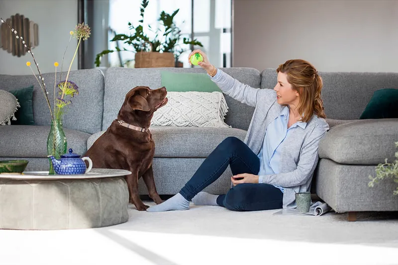 Matonpesulaite Bissell Revolution 2x ProHeat - Kotitalous - Siivous & vaatehuolto - Pölynimurit - Mattopesuri & tekstiilipesuri