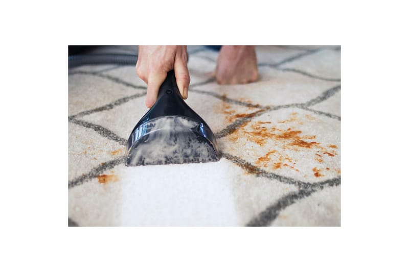 Tekstiilipesuri Bissell SpotClean Professional - Kotitalous - Siivous & vaatehuolto - Pölynimurit - Mattopesuri & tekstiilipesuri