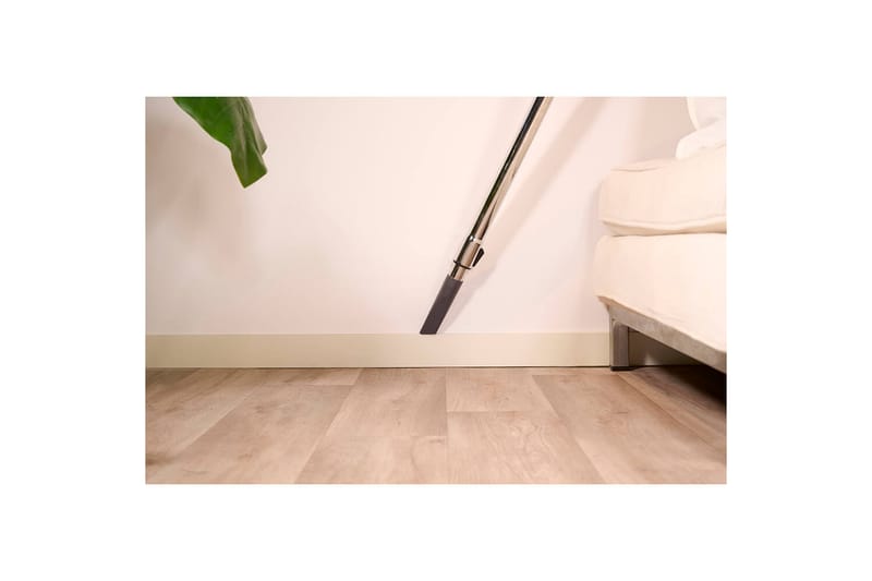 Pölynimuri Solac More Brave pölypussiton 800W - Kotitalous - Siivous & vaatehuolto - Pölynimurit - Lattiapölynimuri