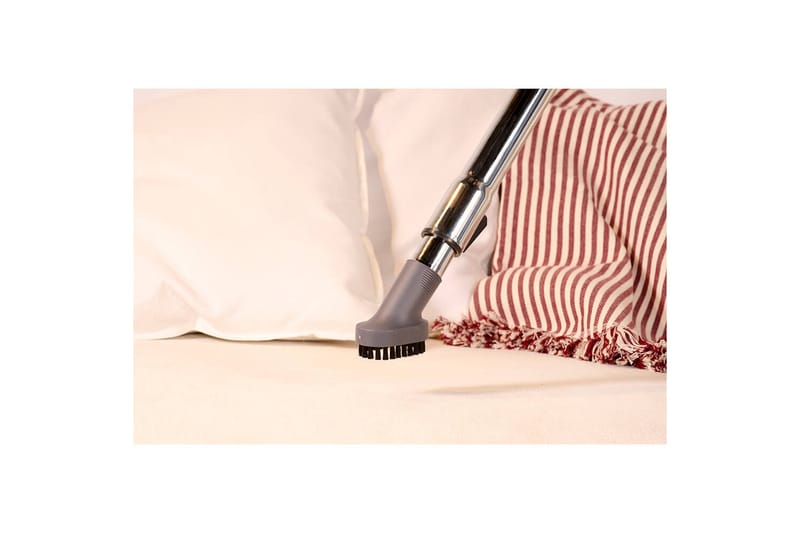 Pölynimuri Solac More Brave pölypussiton 800W - Kotitalous - Siivous & vaatehuolto - Pölynimurit - Lattiapölynimuri