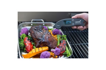 Digitaalinen Lämpömittari Mustang Taitettava - Piha & ulkoaltaat - Grillaus - Grillitarvikkeet