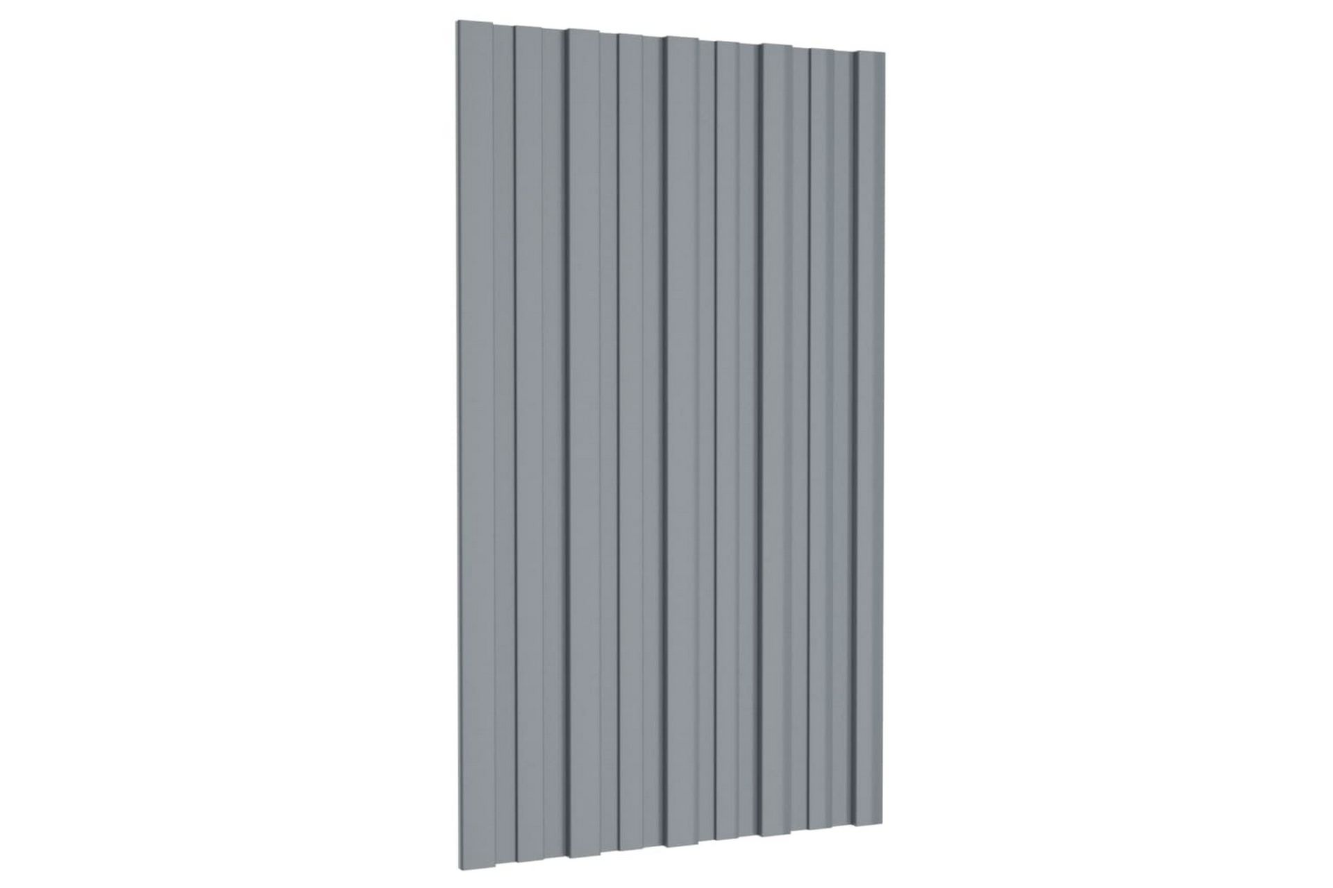 Kattopaneeli 12 kpl galvanoitu teräs hopea 80x45 cm - Piha & ulkoaltaat - Piha-alue - Puutarhakoristeet & pihatarvikkeet - Ovikatos