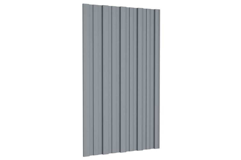 Kattopaneeli 12 kpl galvanoitu teräs hopea 80x45 cm - Piha & ulkoaltaat - Piha-alue - Puutarhakoristeet & pihatarvikkeet - Ovikatos