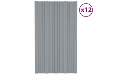 Kattopaneeli 12 kpl galvanoitu teräs hopea 80x45 cm - Piha & ulkoaltaat - Piha-alue - Puutarhakoristeet & pihatarvikkeet - Ovikatos