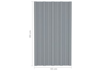 Kattopaneeli 12 kpl galvanoitu teräs hopea 80x45 cm - Piha & ulkoaltaat - Piha-alue - Puutarhakoristeet & pihatarvikkeet - Ovikatos