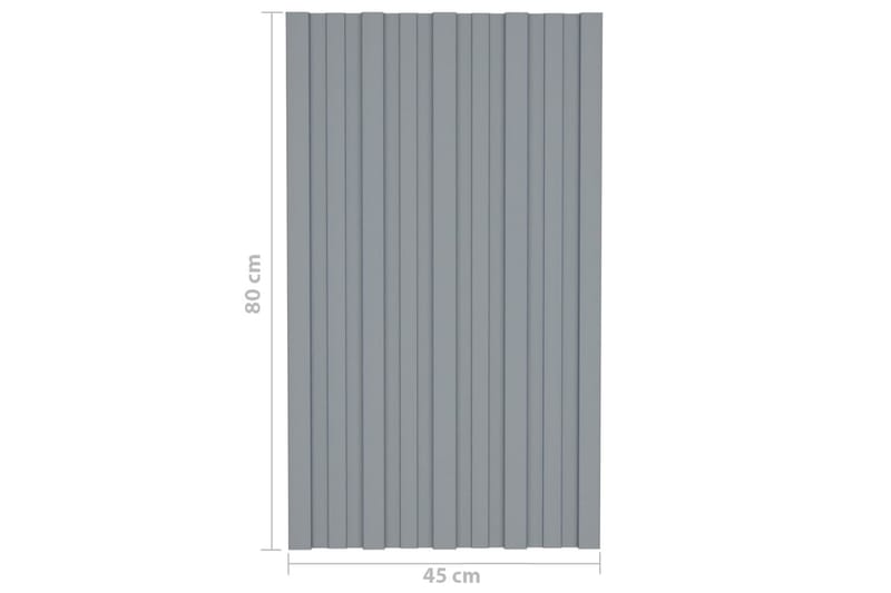Kattopaneeli 12 kpl galvanoitu teräs hopea 80x45 cm - Piha & ulkoaltaat - Piha-alue - Puutarhakoristeet & pihatarvikkeet - Ovikatos