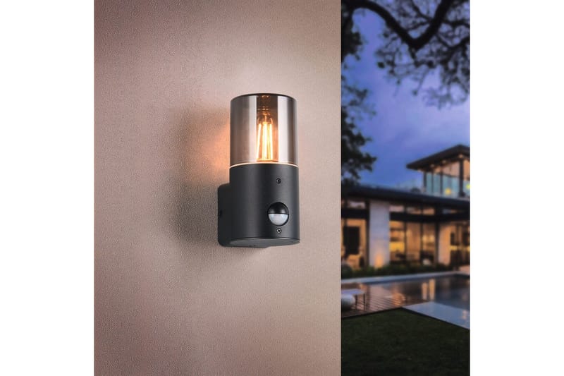 Seinävalaisin Hoosic - 1-osainen, Mattamusta, Liiketunnistin - Piha & ulkoaltaat - Piha-alue - Sisäänkäynti - Sisäänkäynnin valaistus