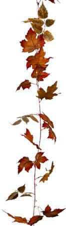 Autumn-köynnös - Oranssit syysvärit - Piha & ulkoaltaat - Piha-alue - Terassi & aidattu terassi - Terassin valaistus