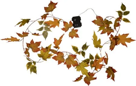 Autumn-köynnös, Oranssit syysvärit