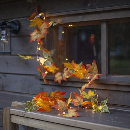 Autumn-köynnös - Oranssit syysvärit - Piha & ulkoaltaat - Piha-alue - Terassi & aidattu terassi - Terassin valaistus