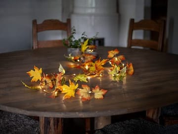 Autumn-köynnös - Oranssit syysvärit - Piha & ulkoaltaat - Piha-alue - Terassi & aidattu terassi - Terassin valaistus