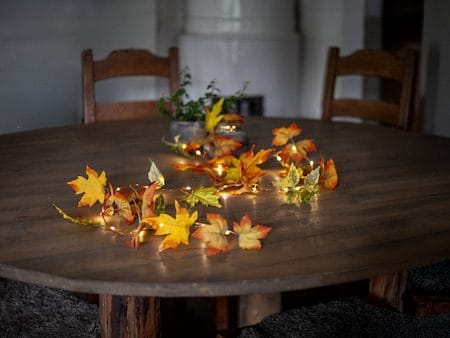 Autumn-köynnös - Oranssit syysvärit - Piha & ulkoaltaat - Piha-alue - Terassi & aidattu terassi - Terassin valaistus