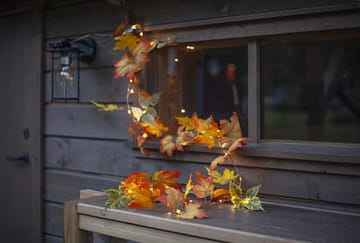 Autumn-köynnös - Oranssit syysvärit - Piha & ulkoaltaat - Piha-alue - Terassi & aidattu terassi - Terassin valaistus
