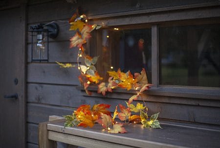 Autumn-köynnös - Oranssit syysvärit - Piha & ulkoaltaat - Piha-alue - Terassi & aidattu terassi - Terassin valaistus