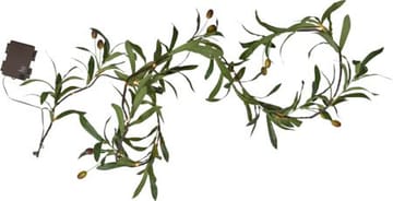 Olivec-köynnös - vihreä, ruskea kaapeli - Piha & ulkoaltaat - Piha-alue - Terassi & aidattu terassi - Terassin valaistus