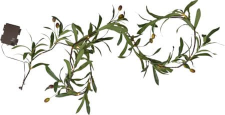 Olivec-köynnös - vihreä, ruskea kaapeli - Piha & ulkoaltaat - Piha-alue - Terassi & aidattu terassi - Terassin valaistus
