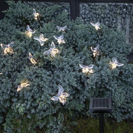 Papillon-aurinkokennovalosarja - läpinäkyvä - Piha & ulkoaltaat - Piha-alue - Terassi & aidattu terassi - Terassin valaistus