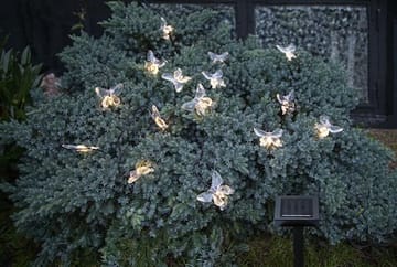 Papillon-aurinkokennovalosarja - läpinäkyvä - Piha & ulkoaltaat - Piha-alue - Terassi & aidattu terassi - Terassin valaistus