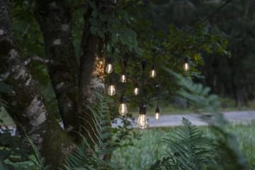 String Light -valosarja - läpinäkyvä ja musta - Piha & ulkoaltaat - Piha-alue - Terassi & aidattu terassi - Terassin valaistus