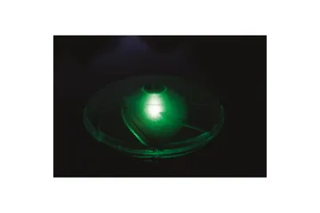 Aurinkokennovalaistus Planet Pool Flowclear Nestemäinen - Piha & ulkoaltaat - Uima-allas, poreallas & sauna - Uima-allastarvikkeet & poreallastarvikkeet - Altaan valaistus