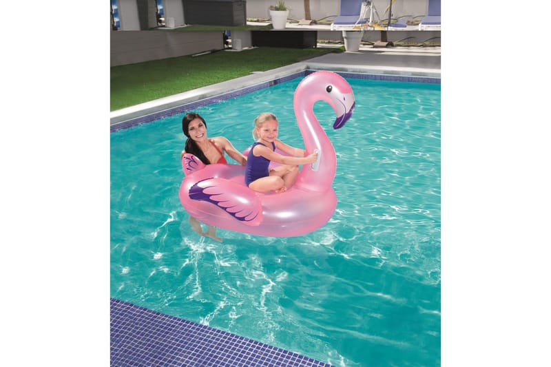 Kylpylelu Planet Pool Flamingo - Piha & ulkoaltaat - Uima-allas, poreallas & sauna - Uima-allastarvikkeet & poreallastarvikkeet - Uima-allaslelut