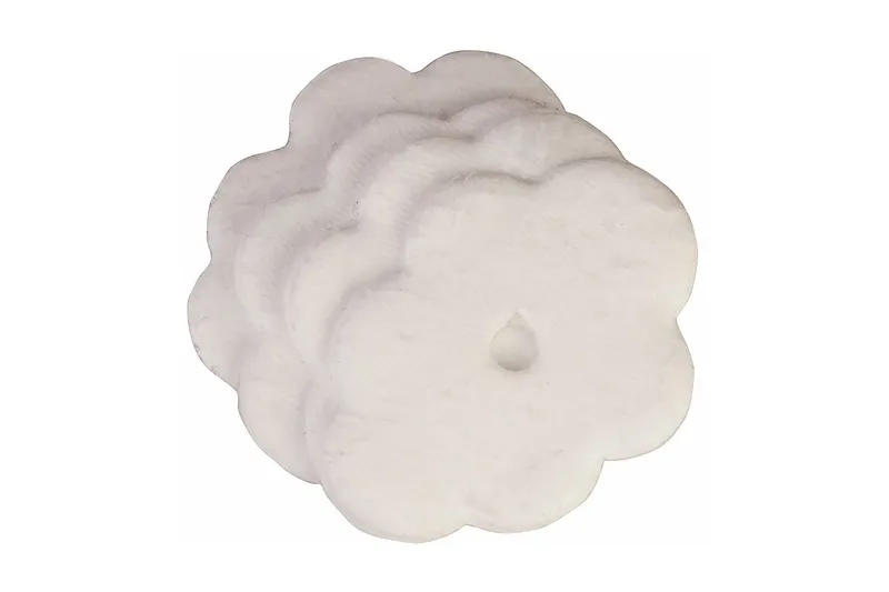 Water Lily, undefined