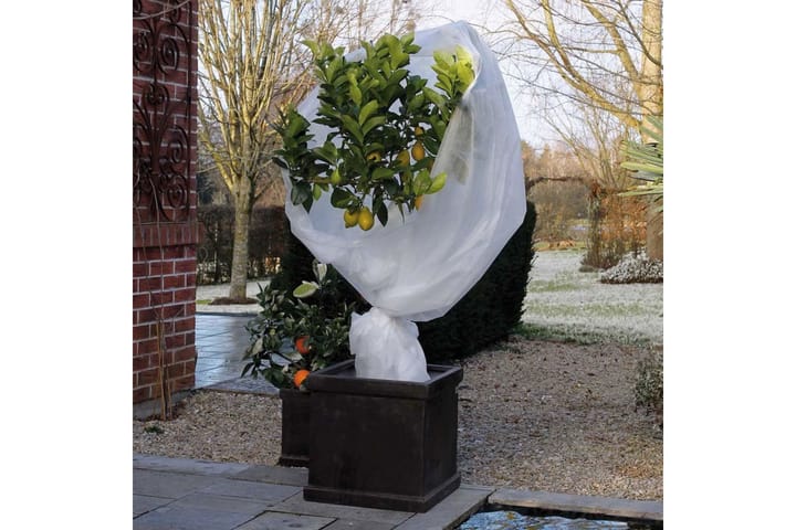 Nature Fleece talvipeite 30 g/m² valkoinen 2x10 m - Marjapensasverkko - Muoviverkko & puutarhaverkko
