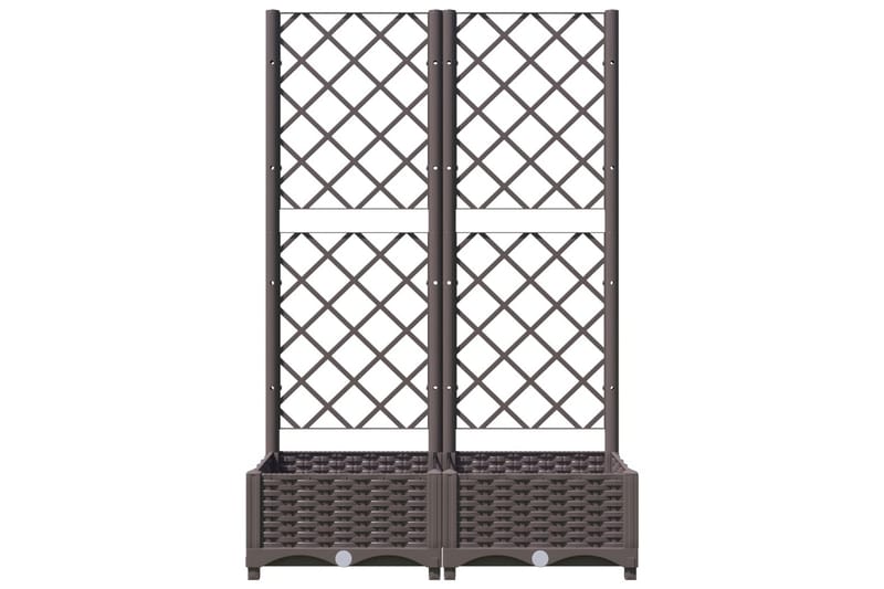 Kukkalaatikko säleiköllä ruskea 80x40x121,5 cm PP - Ruskea - Piha & ulkoaltaat - Viljely & puutarhanhoito - Kasvatus - Kukkaruukku & Istutusastia - Kukkalaatikko