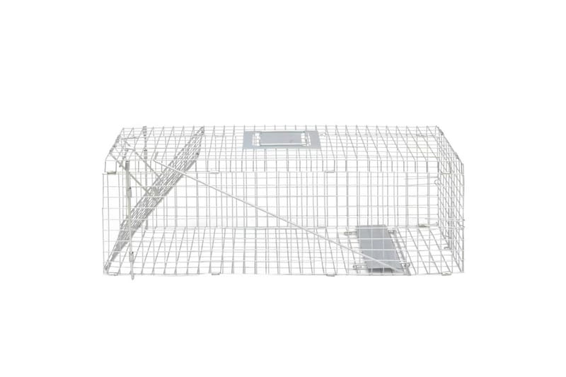 Galvanoitu Elävä Ansa 80 cm - Piha & ulkoaltaat - Viljely & puutarhanhoito - Kasvatus - Tuholaisten torjunta - Jyrsijäkarkotin & myyräkarkotin