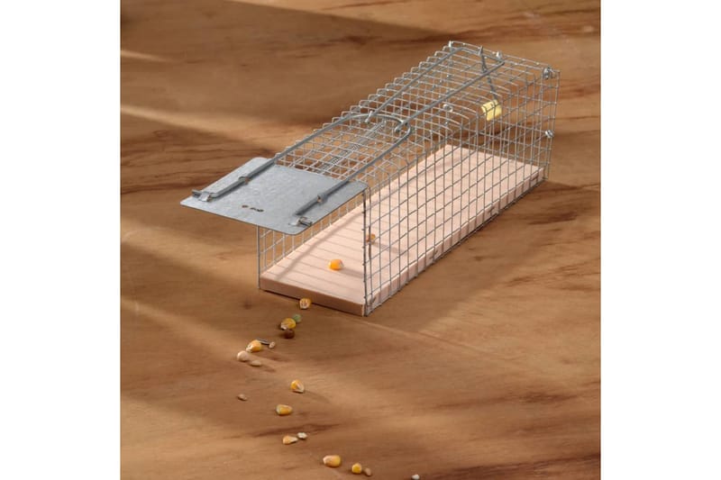 Nature Humane Rat Trap 27,5x9,5x9,5 cm - Piha & ulkoaltaat - Viljely & puutarhanhoito - Kasvatus - Tuholaisten torjunta - Rotanloukku