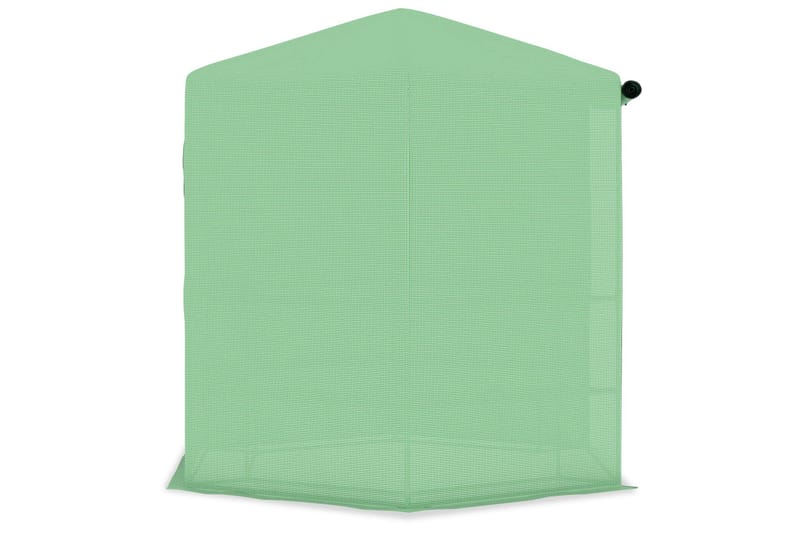 Kasvihuone hyllyillä teräs 227x223 cm - Piha & ulkoaltaat - Viljely & puutarhanhoito - Kasvihuone
 - Vapaasti seisova kasvihuone