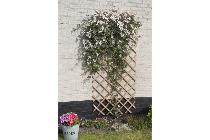 Nature Puutarhasäleikkö 50x150 puu luonnollinen - Ruskea - Piha & ulkoaltaat - Viljely & puutarhanhoito - Kasvihuone
 - Kasvihuonetarvikkeet