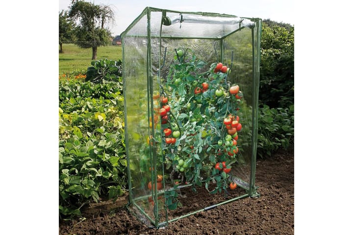 Nature Tomaattikasvihuone 100x50x150 cm - Läpinäkyvä - Vapaasti seisova kasvihuone - Kasvihuone