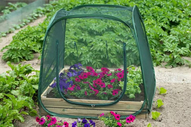Nature Pop up Kasvihuone 100 x 100 x 100 cm 6020409 - Vihreä - Piha & ulkoaltaat - Viljely & puutarhanhoito - Kasvihuone
 - Vapaasti seisova kasvihuone