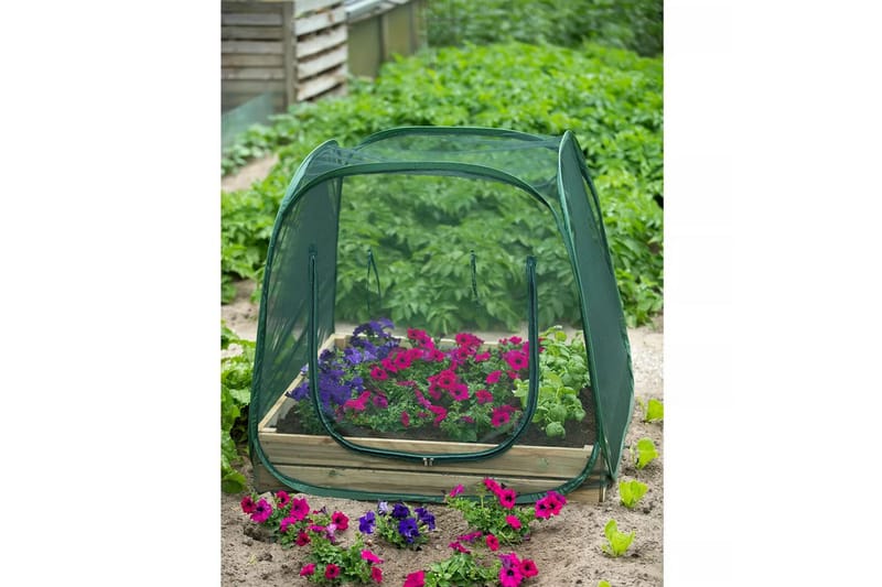 Nature Pop up Kasvihuone 100 x 100 x 100 cm 6020409 - Vihreä - Piha & ulkoaltaat - Viljely & puutarhanhoito - Kasvihuone
 - Vapaasti seisova kasvihuone